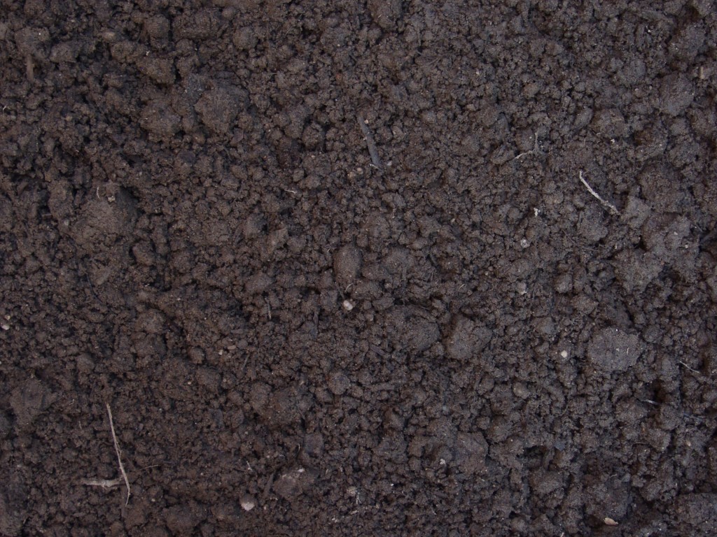 Black Dirt