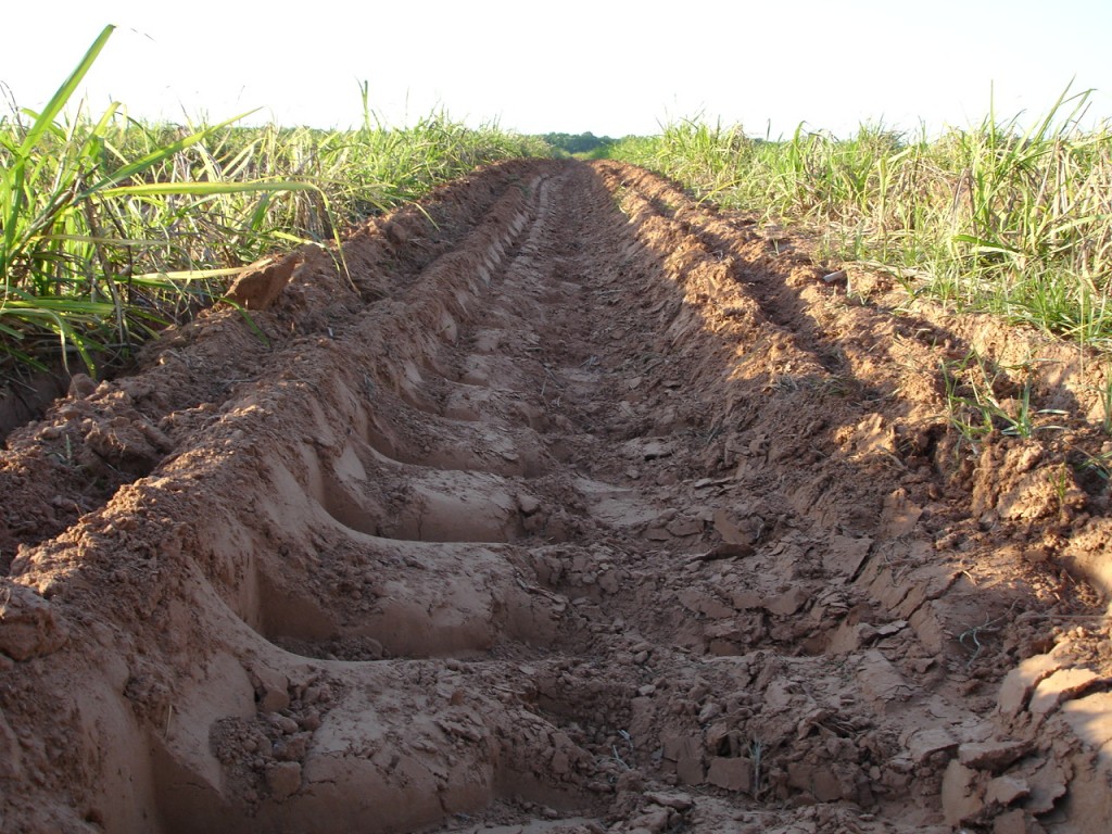 Tractor Tire Tracks